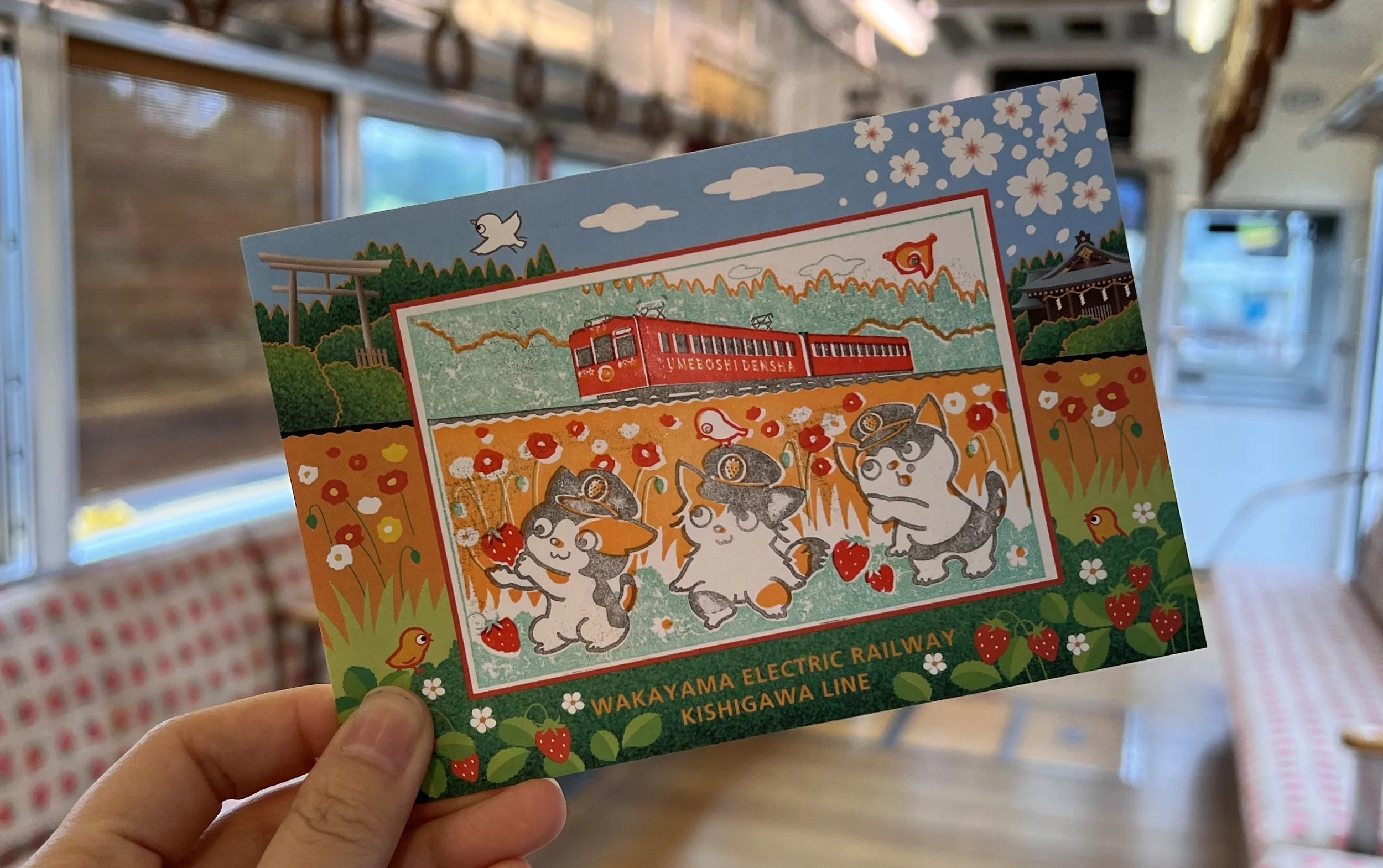 All Aboard the Cat Train! Fun and Unique Day-Trip Idea While